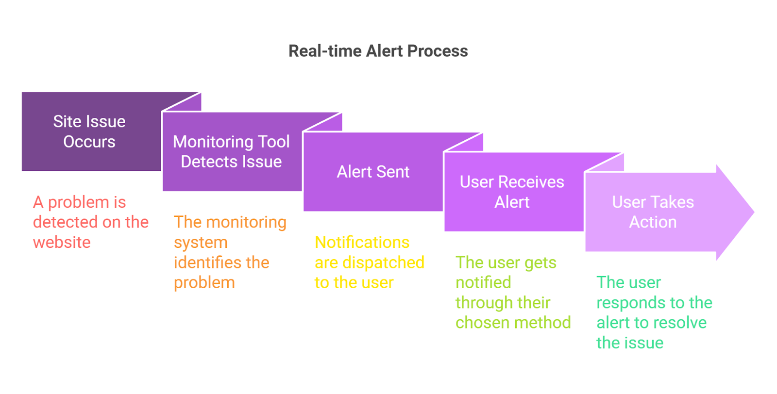 real-time alert process for WordPress uptime monitoring tools