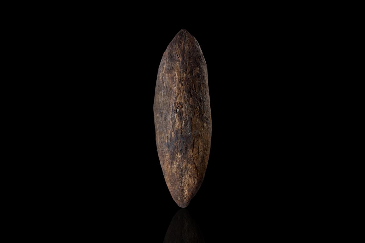 A photo of the Gweagal Shield seized by Captain Cook in 1770 from Cooman. 