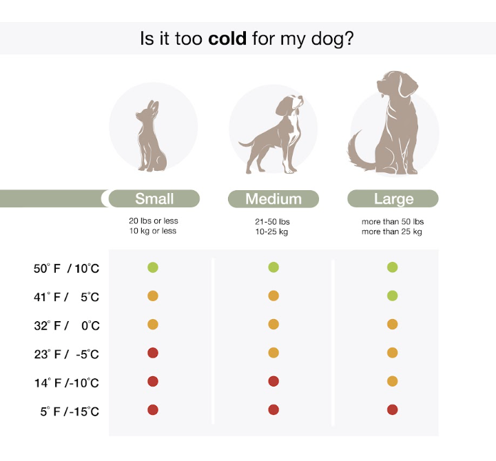 chart indicating comfortable temperatures for dogs