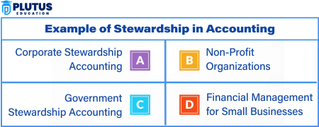 stewardship accounting
