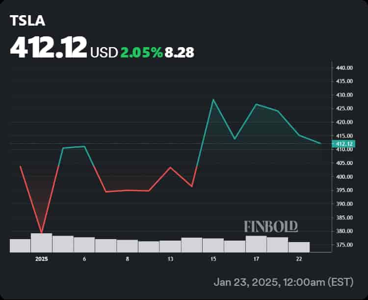 Tesla stock performance in 2025.