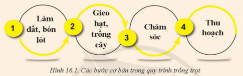 BÀI 16: QUY TRÌNH TRỒNG TRỌT