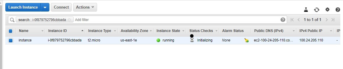 Launch an instance labeled with a name tag.