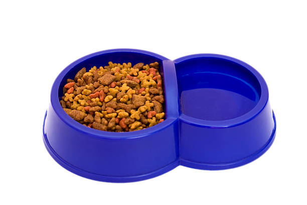 dog food container