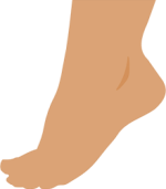 https://openclipart.org/image/300px/svg_to_png/66679/1276475020.png