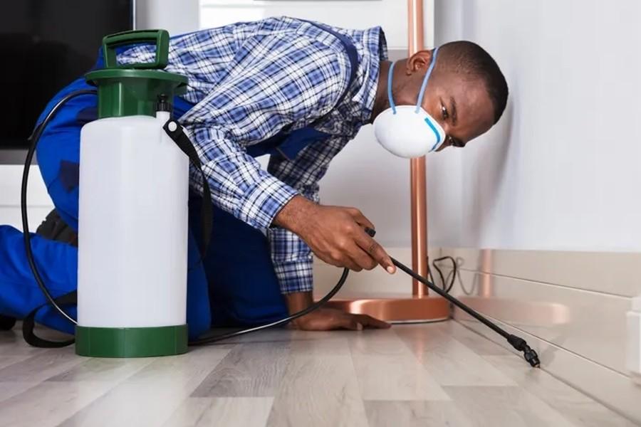 Sponsored Love: Why You Need Professional Pest Control Service