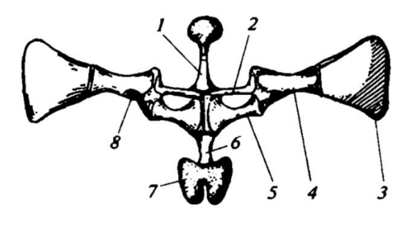 https://uchebnik.mos.ru/cms/system/atomic_objects/files/013/195/940/original/image033.png