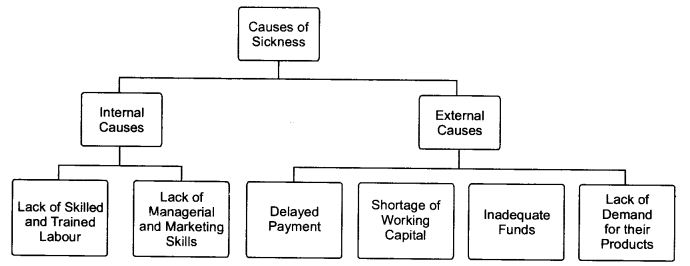 NCERT Solutions For Class 11 Business Studies Small Business SAQ Q5