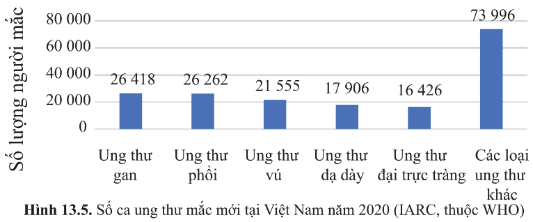 BÀI 13 - CHU KÌ TẾ BÀO VÀ NGUYÊN PHÂN