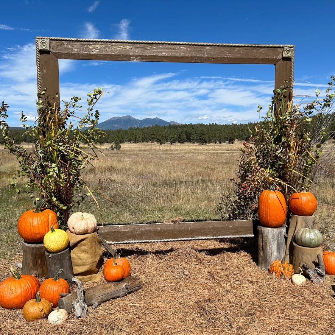 The Arboretum at Flagstaff