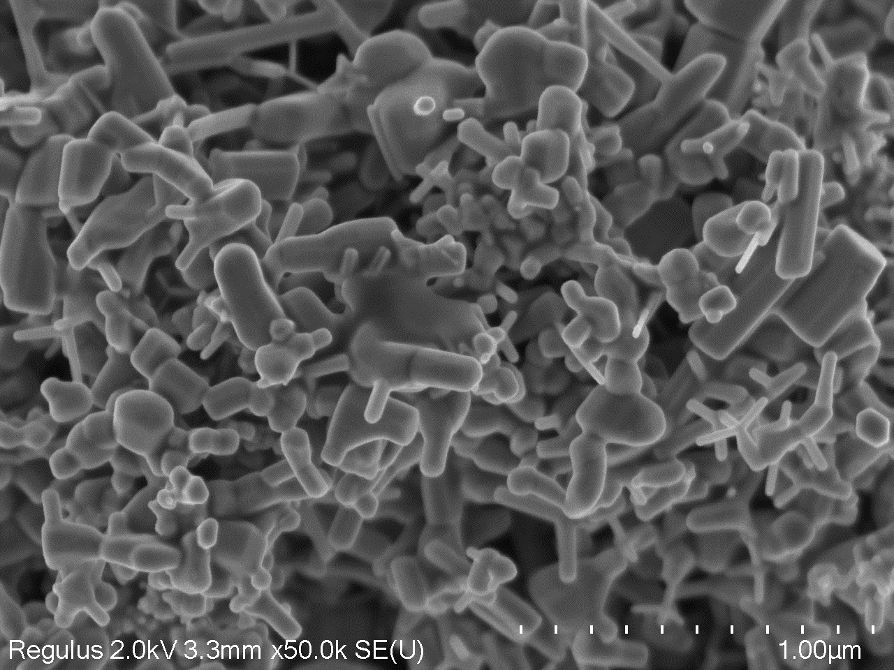 A close-up of a microscope

AI-generated content may be incorrect.