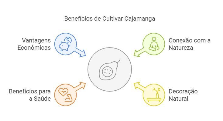 Benefícios de Cultivar Cajamanga