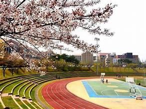 A sports field with a tree in the background

AI-generated content may be incorrect.