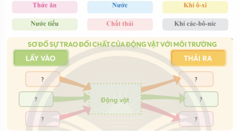 BÀI 16. NHU CẦU SỐNG CỦA ĐỘNG VẬT