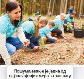 A group of people planting trees

Description automatically generated