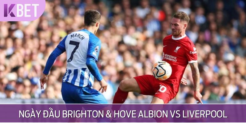 Thông tin tổng quan trận Brighton & Hove Albion vs Liverpool