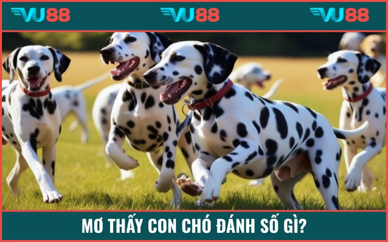 Gợi ý số đẹp nên chốt để nhận thưởng lớn