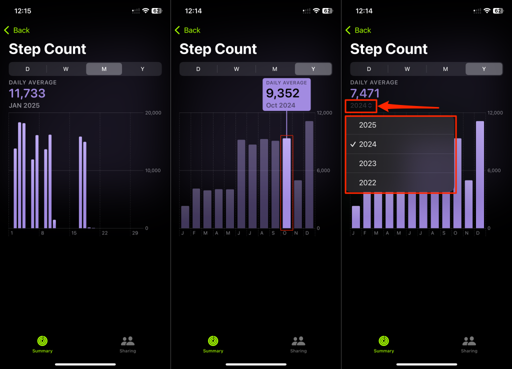 Steps to view Steps in the iPhone Fitness app