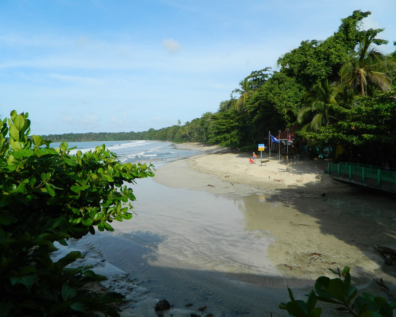 A beach surrounded by lush greenery.