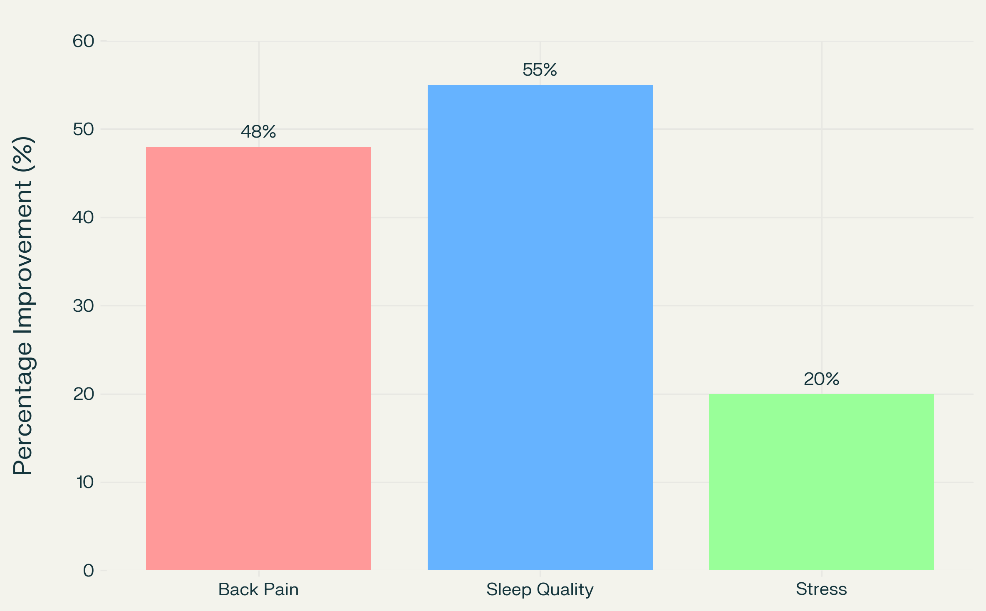 Bar Graph Illustrating Percentage Improvement in Back Pain, Sleep Quality, and Stress After Mattress Replacement in New Zealand