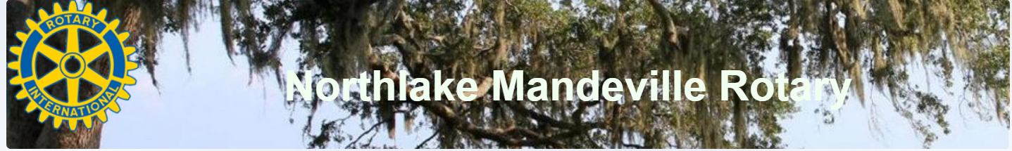 A close up of a treeDescription automatically generated