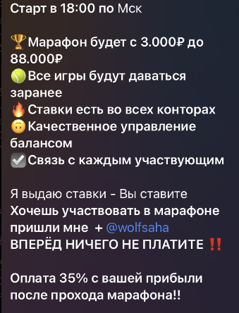 wolf bet прогнозы телеграм