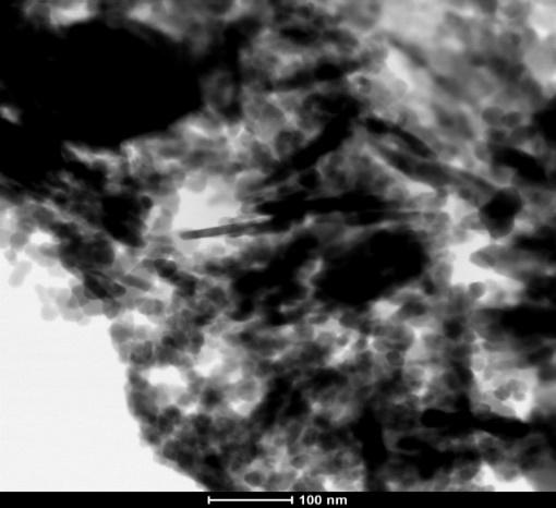A close-up of a black and white image

AI-generated content may be incorrect.