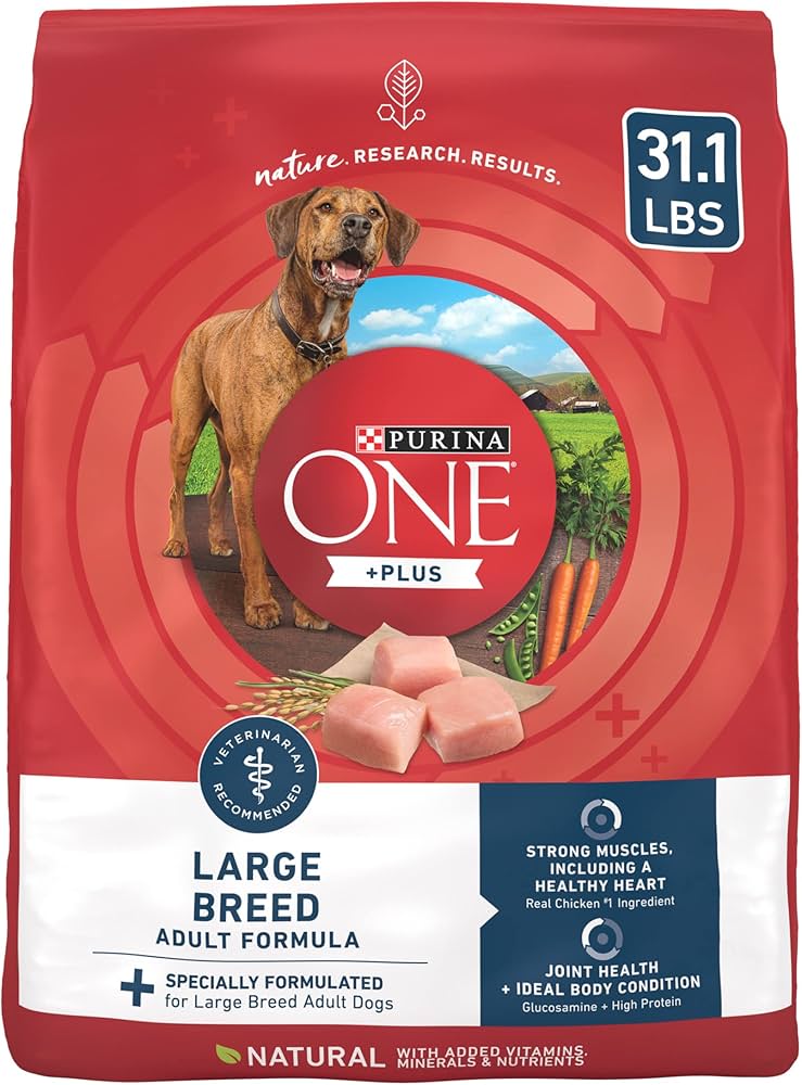 Purina One Large Breed Dry Dog Food: Top Benefits for Big Dogs