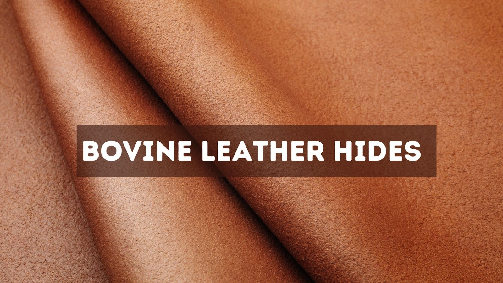 bovine leather