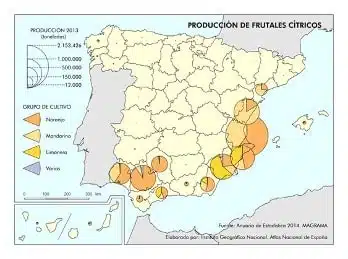 Les principales floraisons pour la récolte de miel de printemps - PLANTES MELLIFÈRES