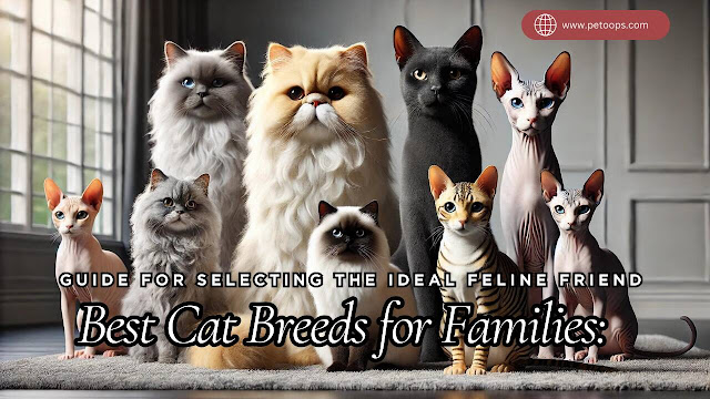 different cat breeds