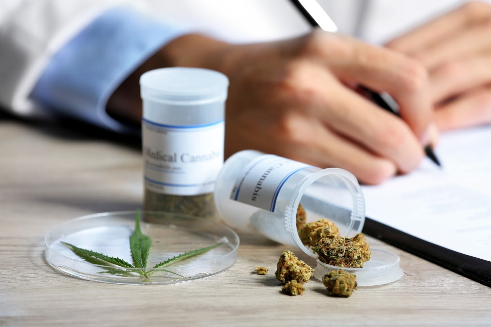 The Role of Weed in Modern Medicine