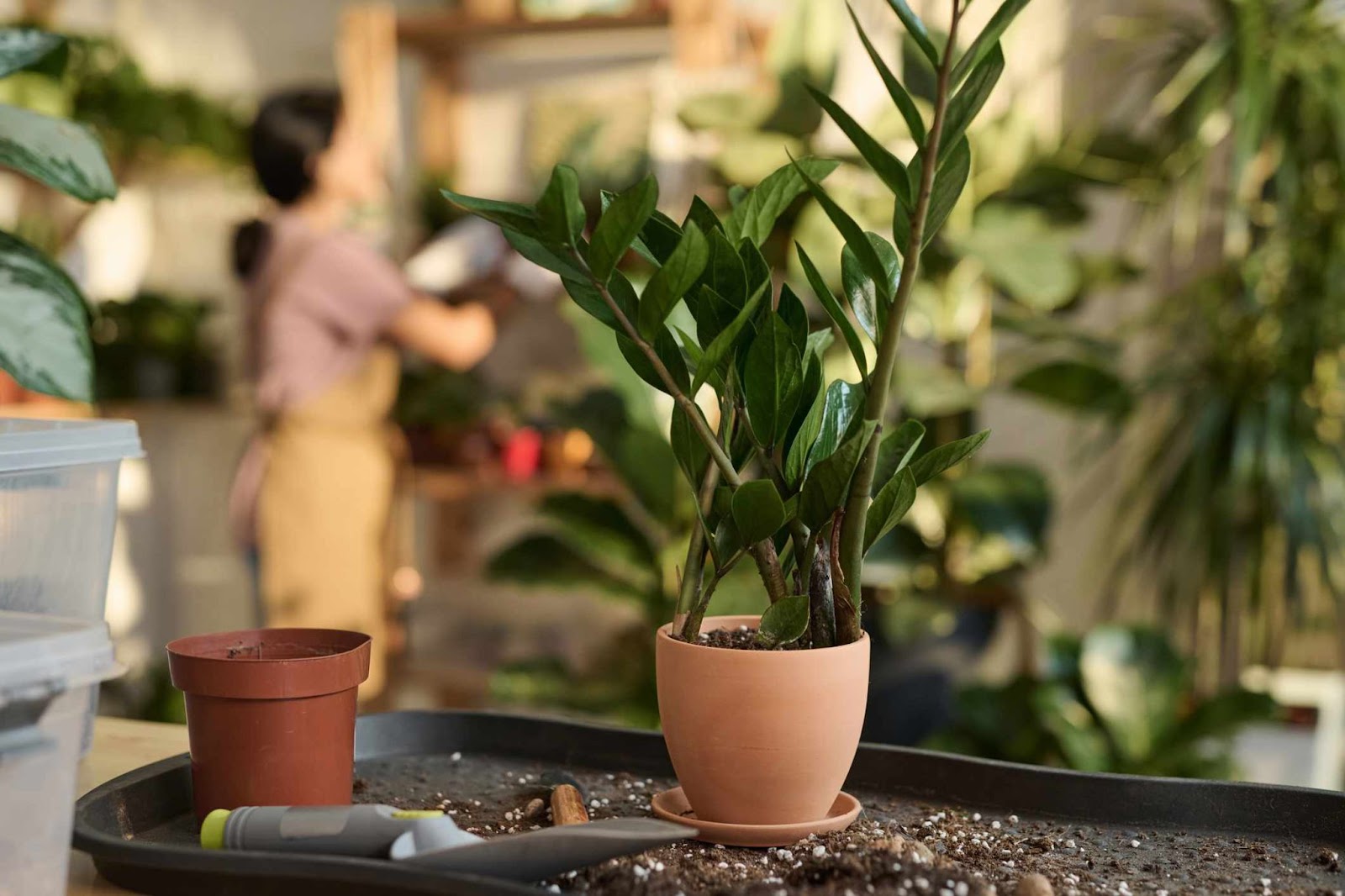 Tỷ Lệ Kèo Hôm Nay – Cập Nhật Chuẩn Từng Giây Tại Kèo Nhà Cái-9