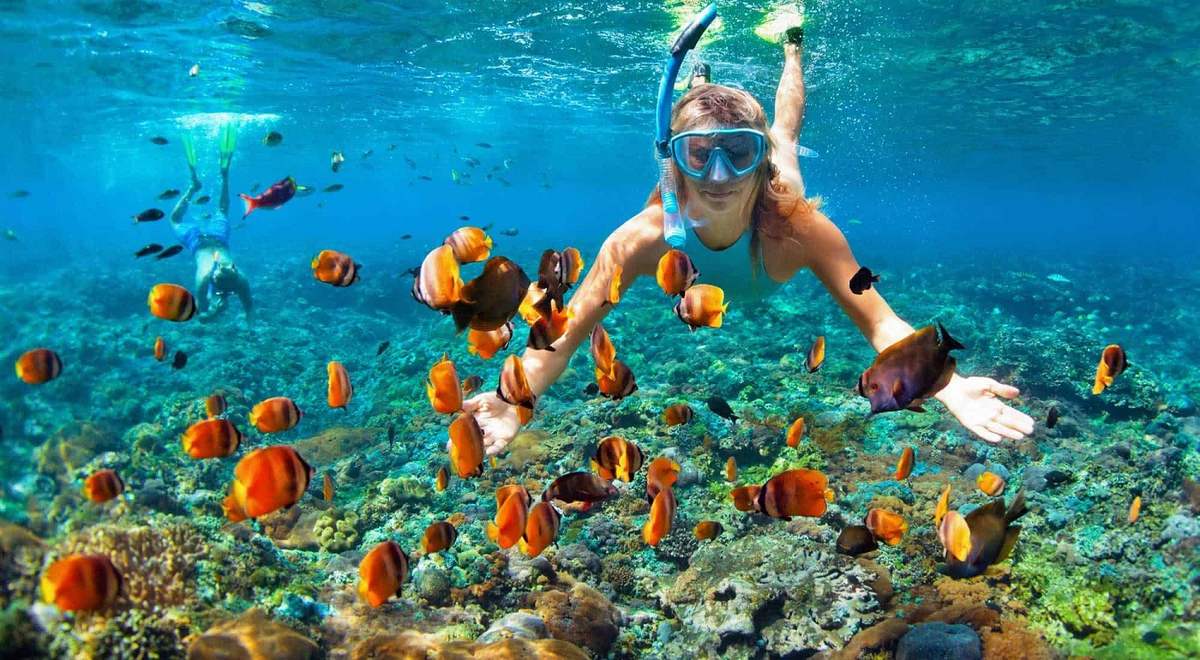 Phu Quoc snorkeling: Guides for beginners and non-beginners