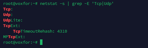 Using netstat -s with grep -E to monitor TCP and UDP protocol usage