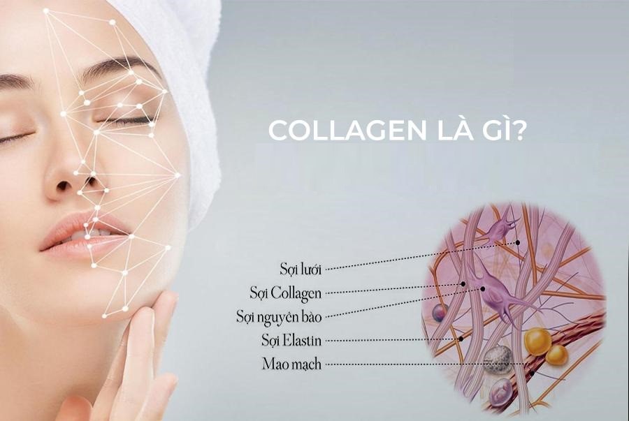 Sức khỏe, đời sống:  Cùng Mỹ Phẩm thiên nhiên TH Natural tìm hiểu  Collagen là g AD_4nXdkr9YoY2ZC1mPAbj55fh_EO6YtLD1h7RHsqT6OmFuVvC_mt6j_3Uqw1H659YJ1L8y7SOybpC3YhlNxYSsM7QGMd_9pOu8EZL2h8Pwng_oJZzyGORKuz6yL4tjaCqwBiizBzAomR_zqMnoNn9SJuvWUnm0v?key=SgdvaAGY3TYjOC2xxj1MQg