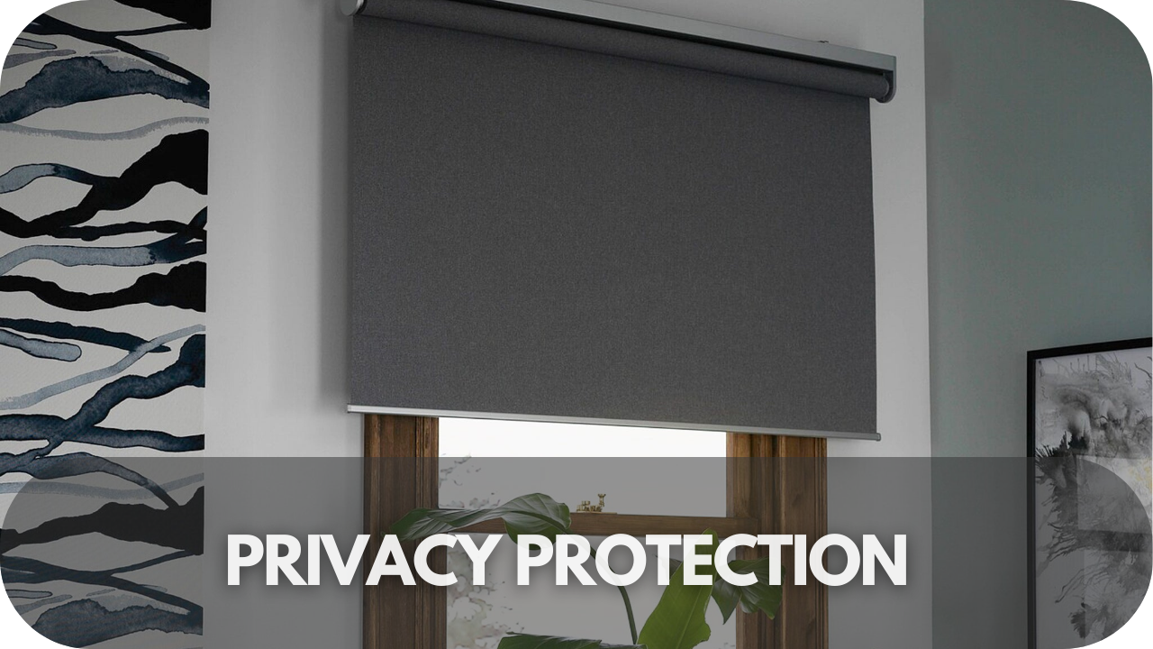 Privacy Protection