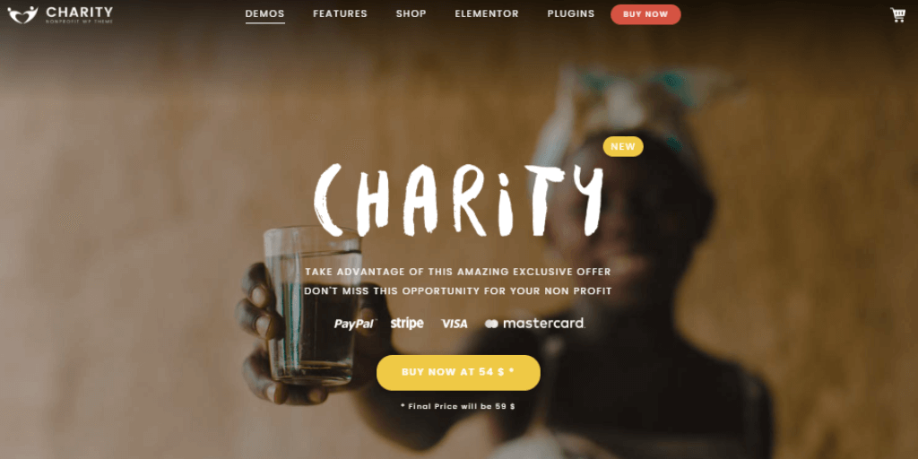 Charity Foundation WordPress Theme