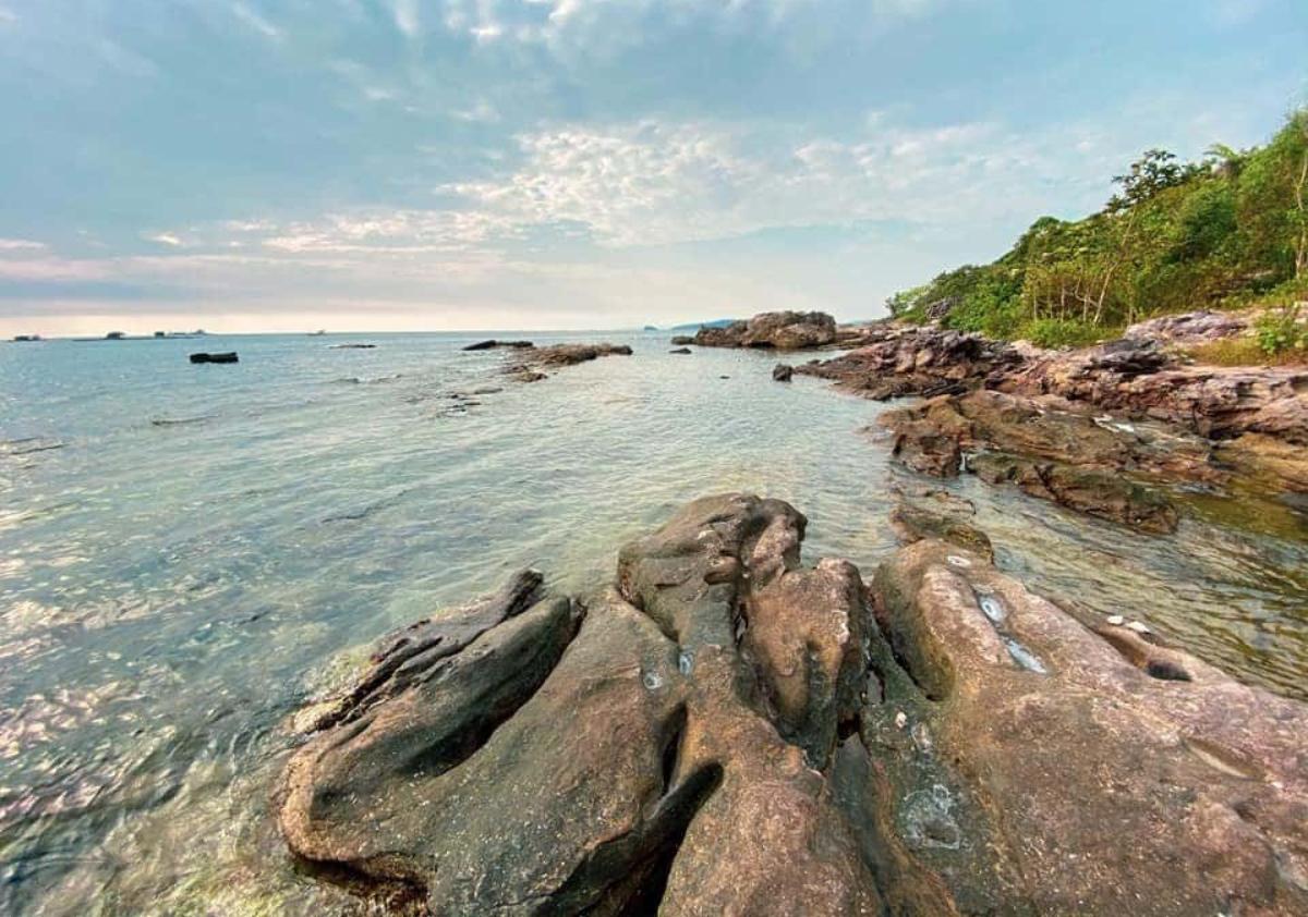 A rocky beach with trees and a blue sky

Description automatically generated