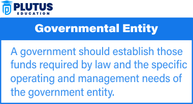 government entity