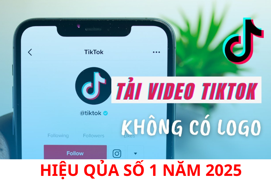 Tải Video TikTok Hàng Loạt Không Logo Hiệu Qủa Số 1 Năm 2025