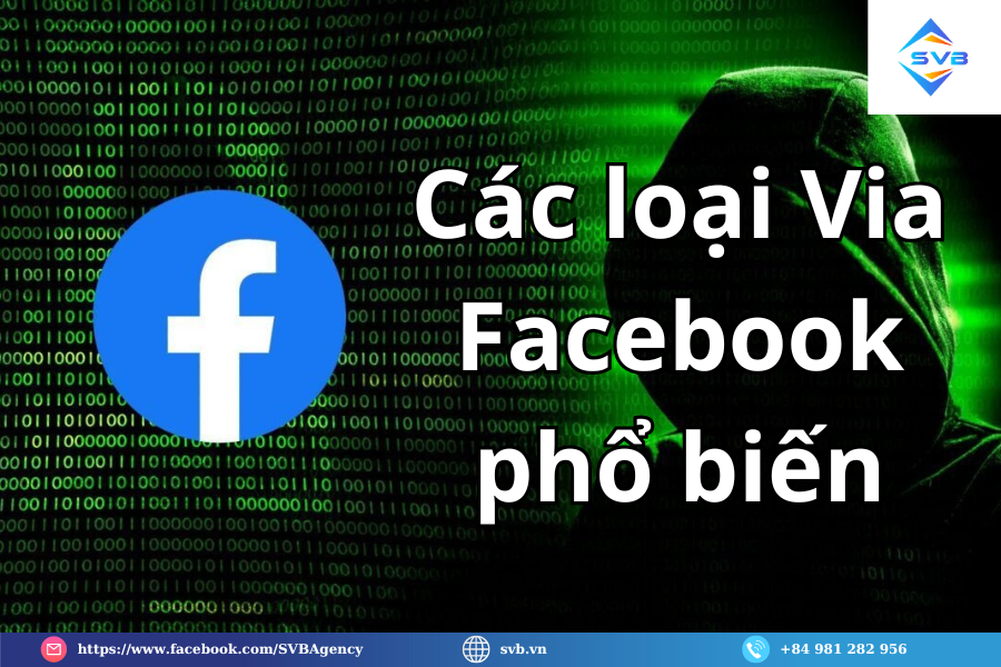 Các loại Via Facebook phổ biến