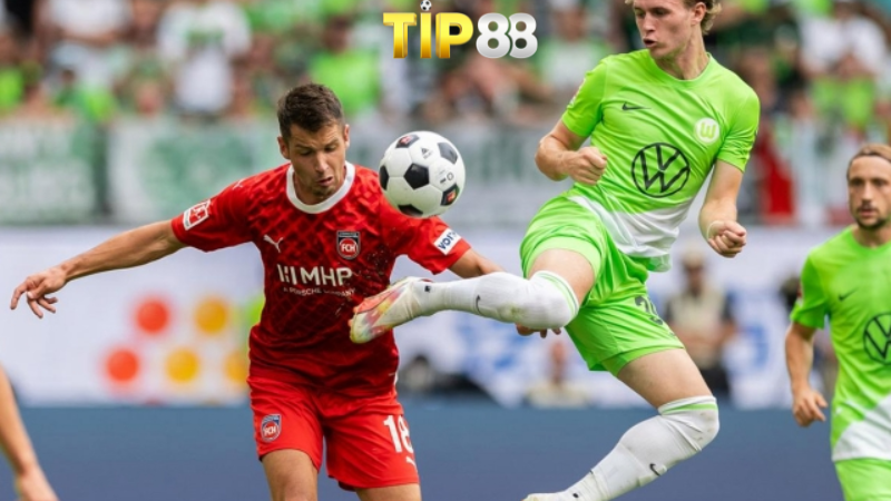 Lịch sử đối đầu VfL Wolfsburg vs Heidenheim