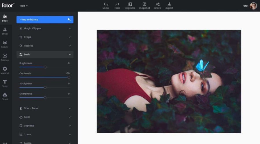 Top Best Photo Retouch Online that is Free To Use-2