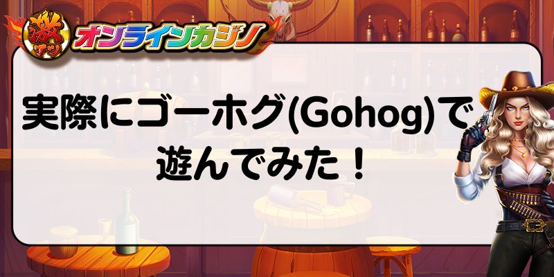 実際にゴーホグ(Gohog)で遊んでみた！