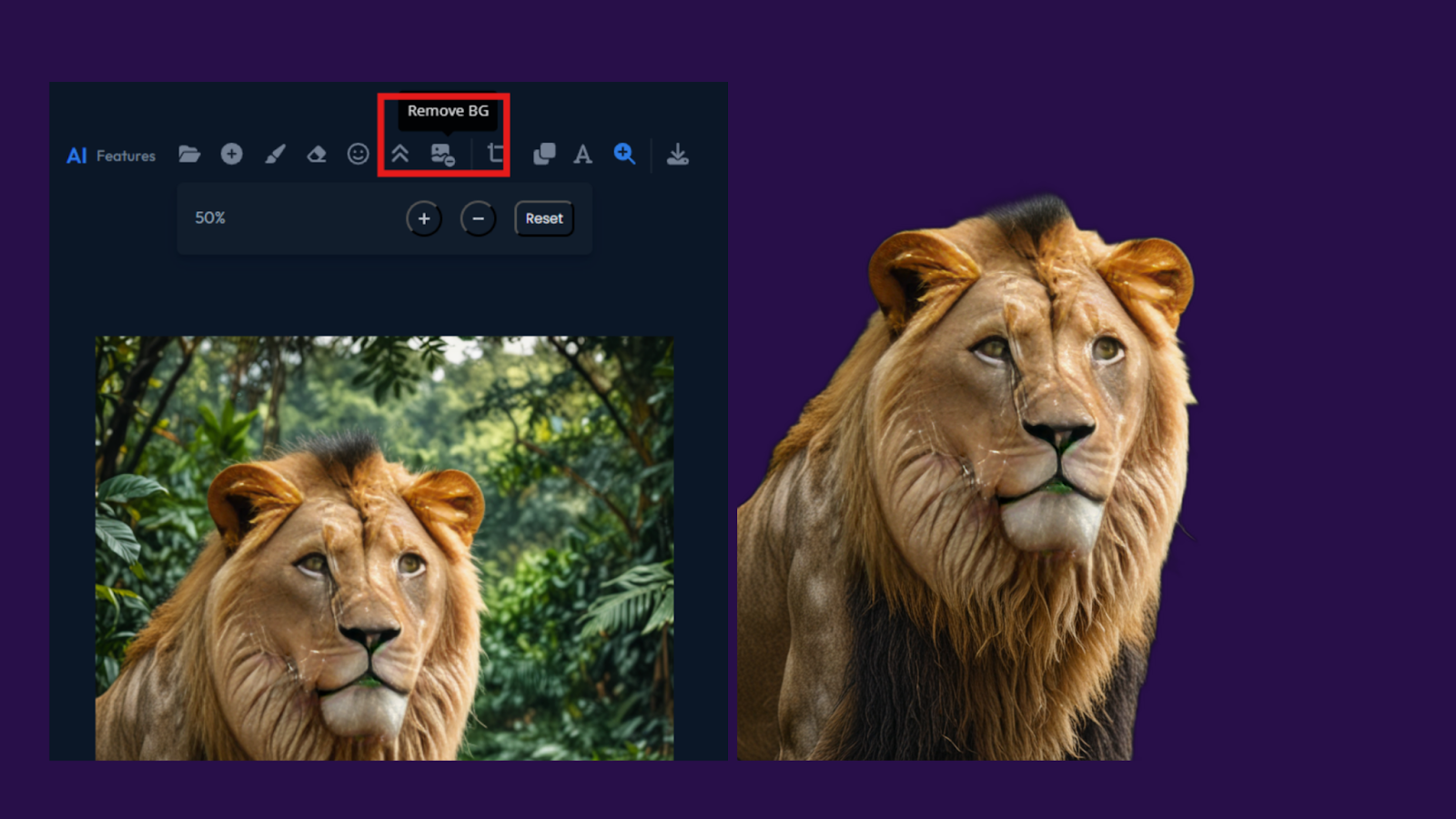 ai remove background before after