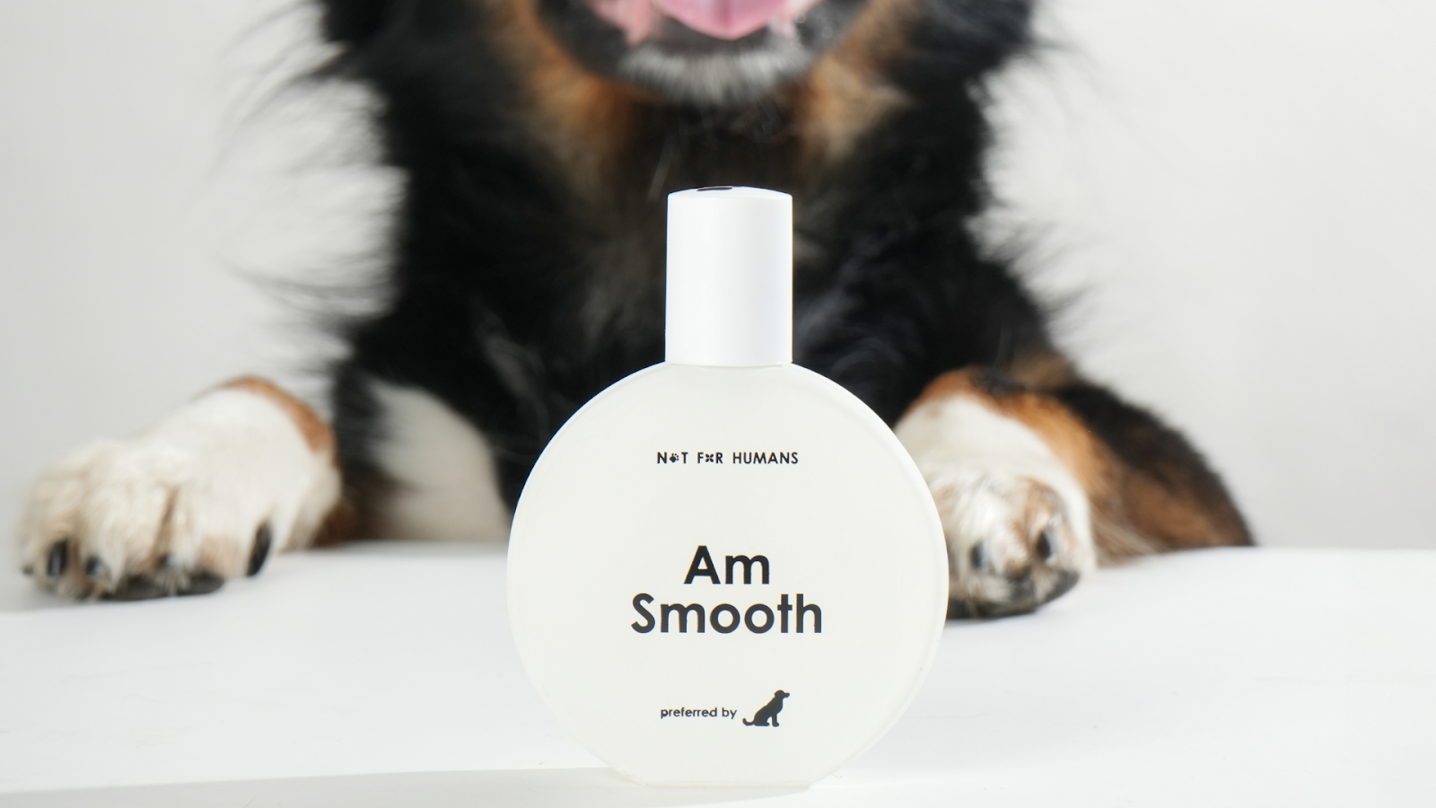 Parfum Not for Humans varian Am Smooth