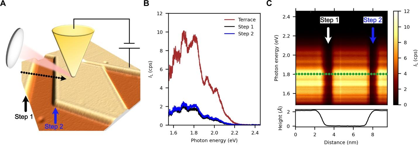 https://www.science.org/cms/10.1126/sciadv.adn2295/asset/10afed9e-0b02-45dd-98b3-86b9f9027b1e/assets/images/large/sciadv.adn2295-f1.jpg