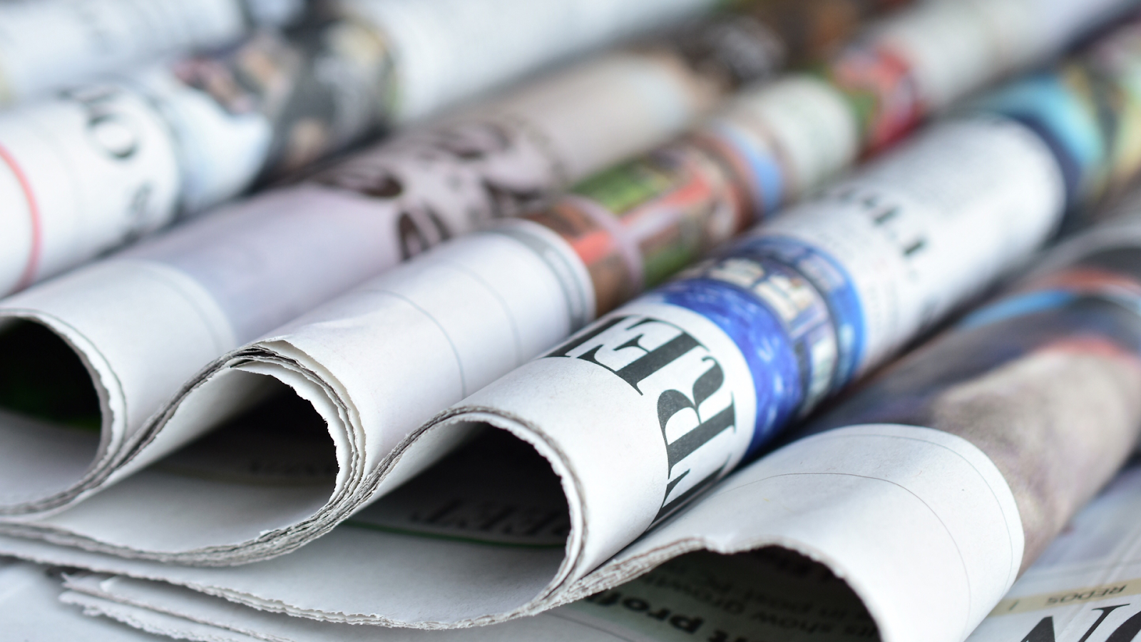 petrolia news
