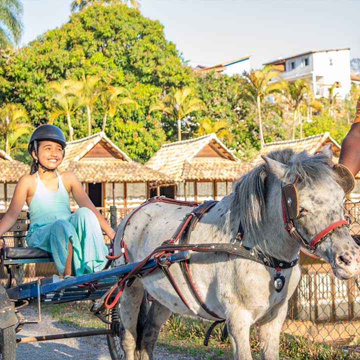 Menina sorridente com capacete pilotando carruagem de cavalo em um parque ao ar livre